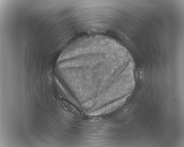 X0000063510915200602172142