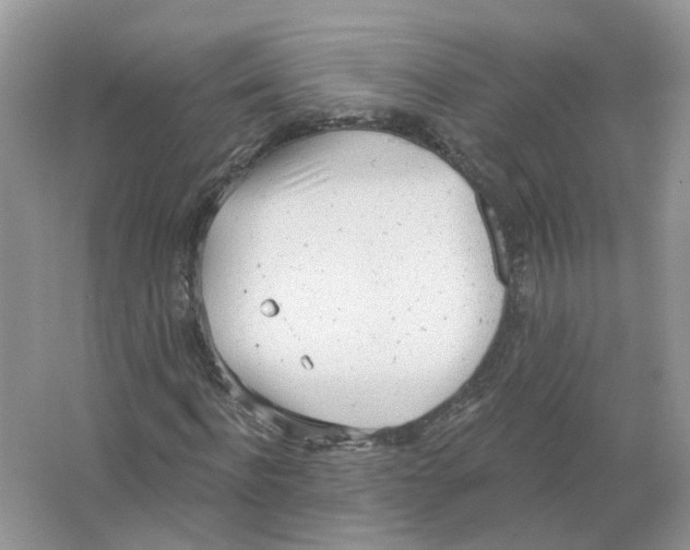 X0000063510916200602172142