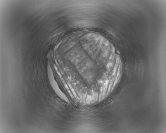 X0000063510917200602172142