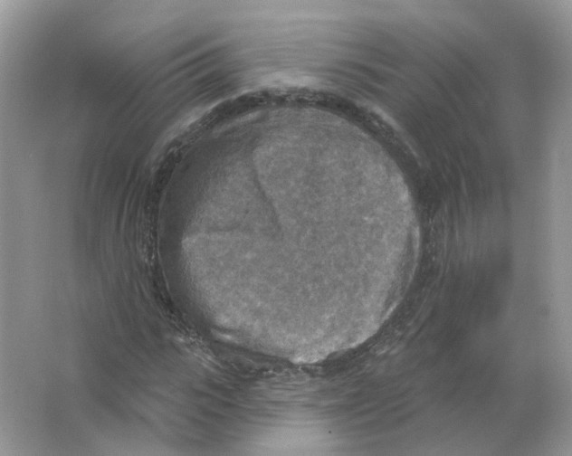 X0000063510919200602172142