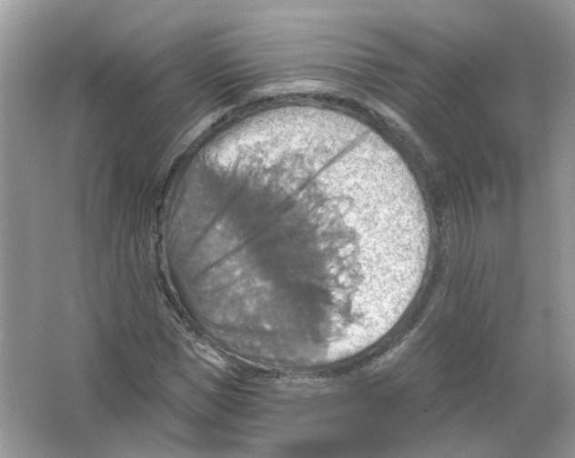 X0000063510921200602172142