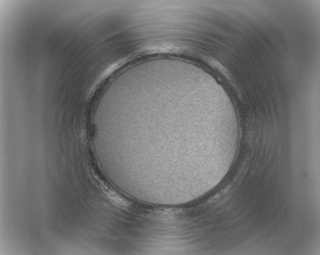 X0000063510922200602172142