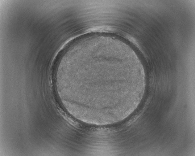 X0000063510923200602172142