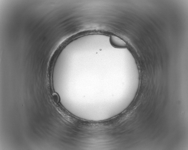 X0000063510927200602172142