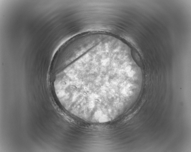 X0000063510928200602172142