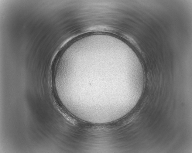 X0000063510931200602172142