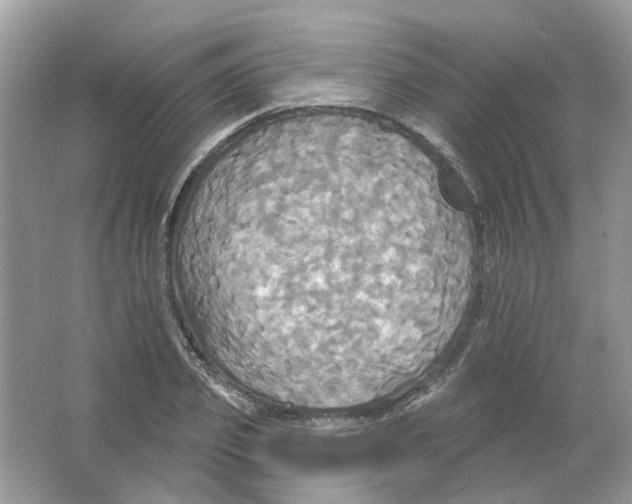 X0000063510933200602172142