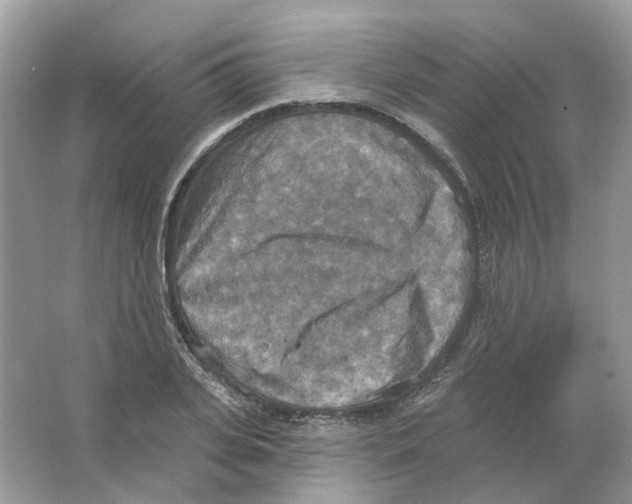 X0000063510935200602172142