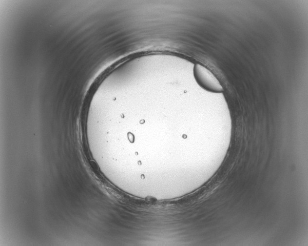 X0000063510936200602172142