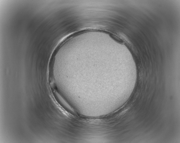 X0000063510940200602172142