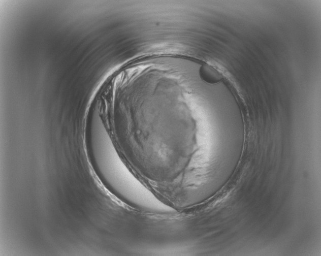 X0000063510941200602172142