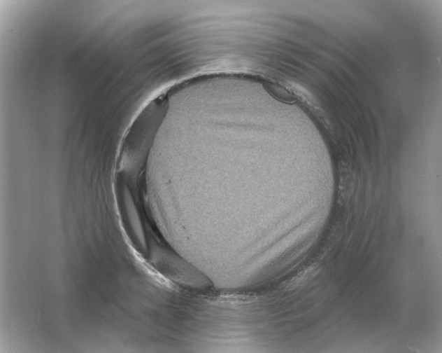 X0000063510942200602172142