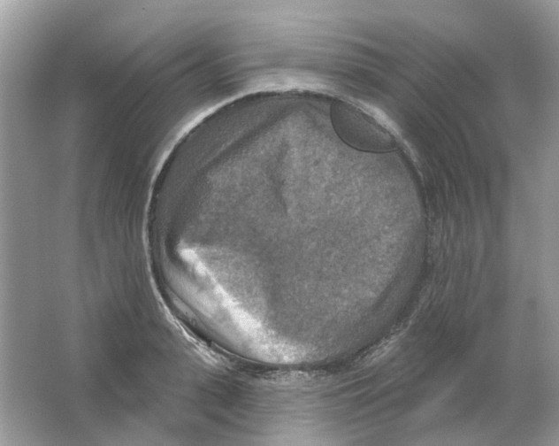 X0000063510943200602172142