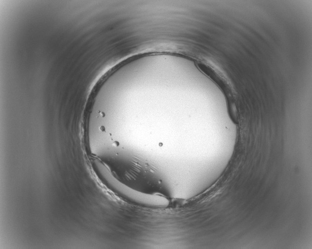 X0000063510944200602172142