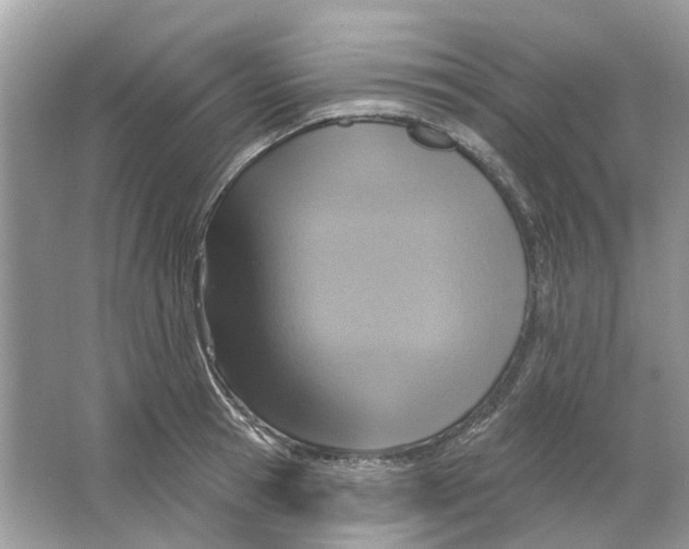 X0000063510945200602172142