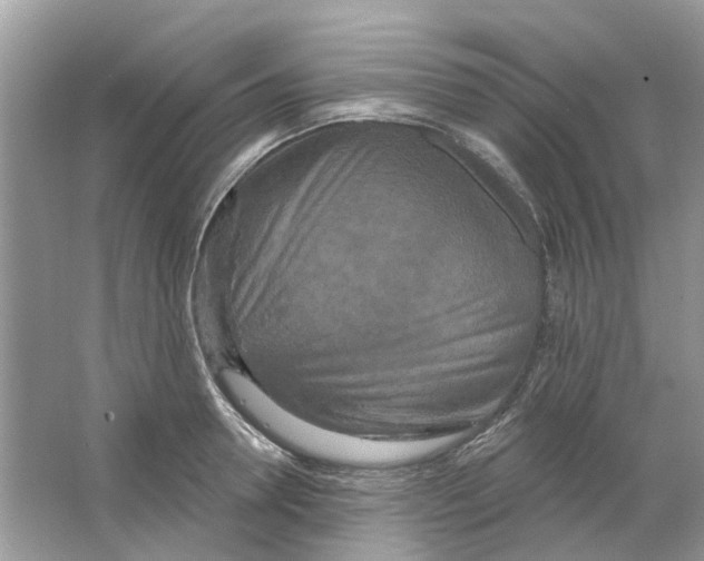 X0000063510946200602172142