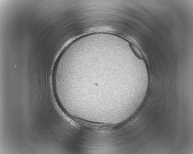 X0000063510947200602172142