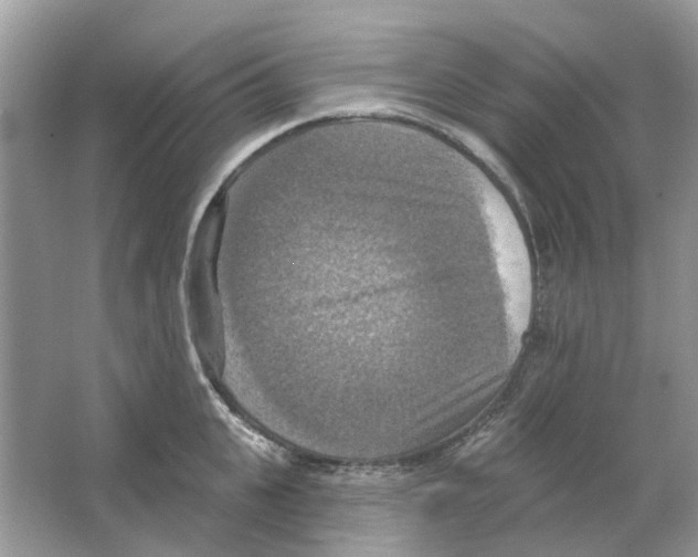 X0000063510951200602172142