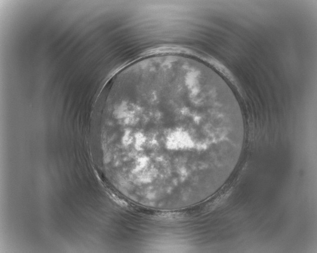 X0000063510953200602172142