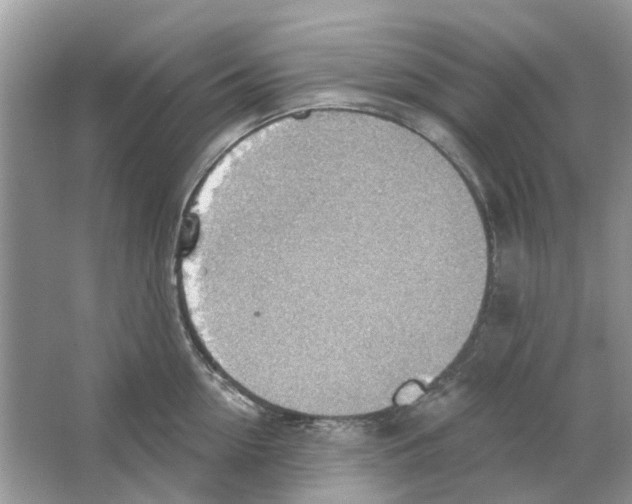 X0000063510954200602172142