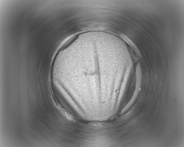 X0000063510956200602172142