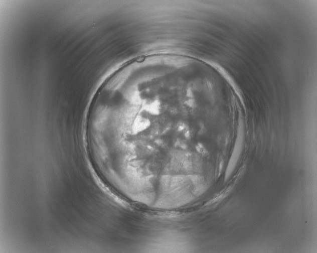 X0000063510957200602172142