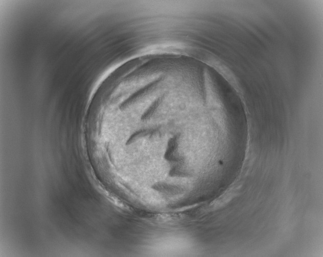 X0000063510960200602172143