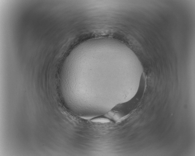 X0000063510961200602172142