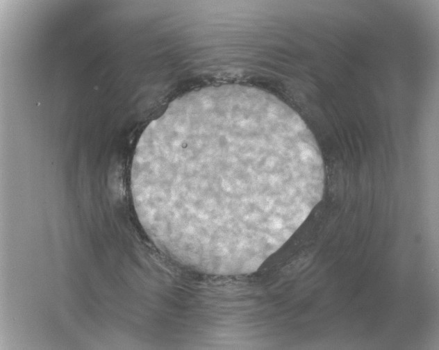 X0000063510962200602172142