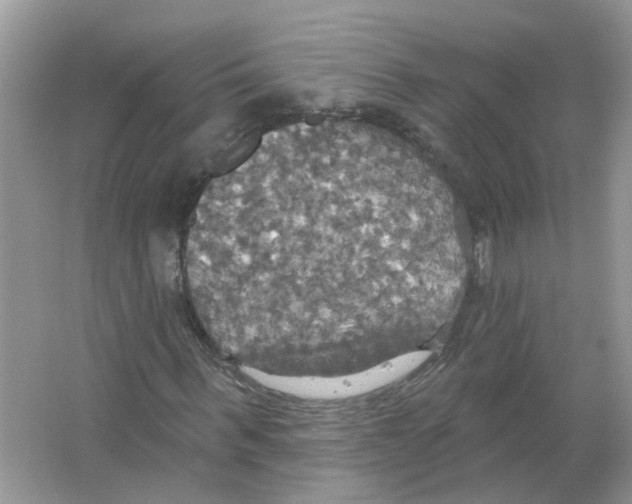 X0000063510963200602172142