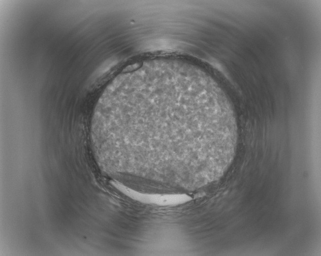 X0000063510967200602172142