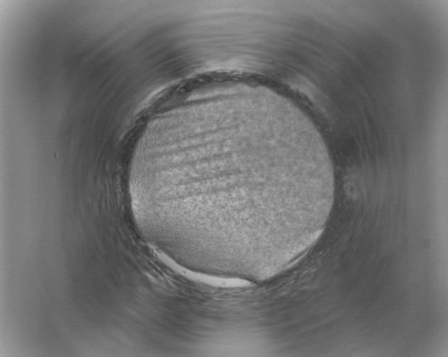 X0000063510968200602172142