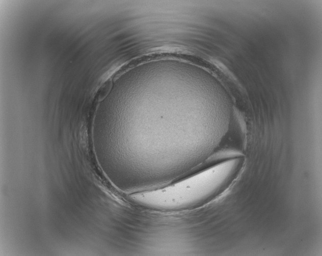 X0000063510969200602172142