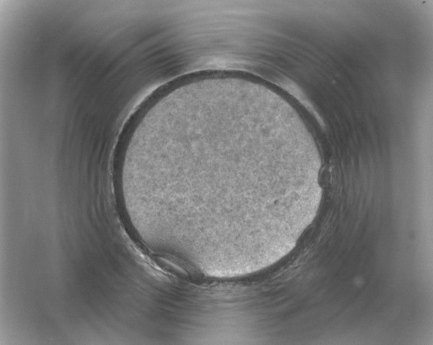 X0000063510972200602172141