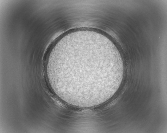 X0000063510974200602172141