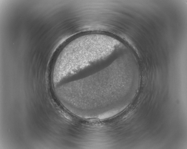 X0000063510975200602172141