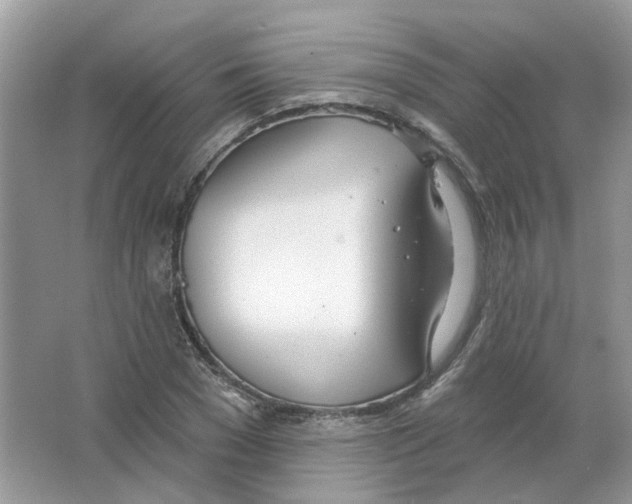 X0000063510977200602172141