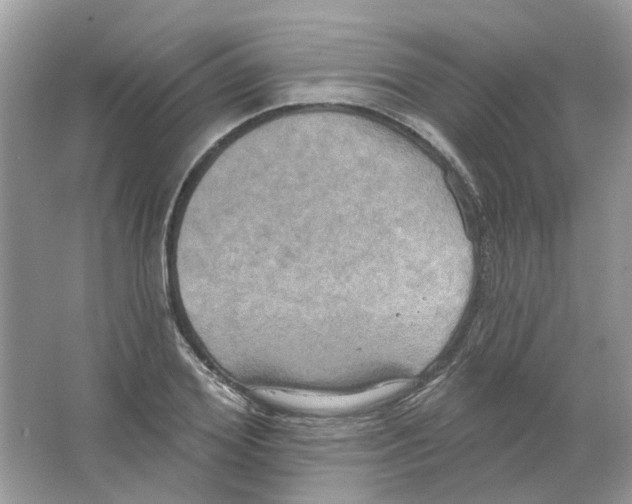 X0000063510980200602172141