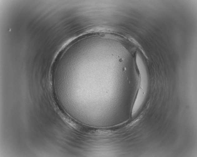 X0000063510981200602172141