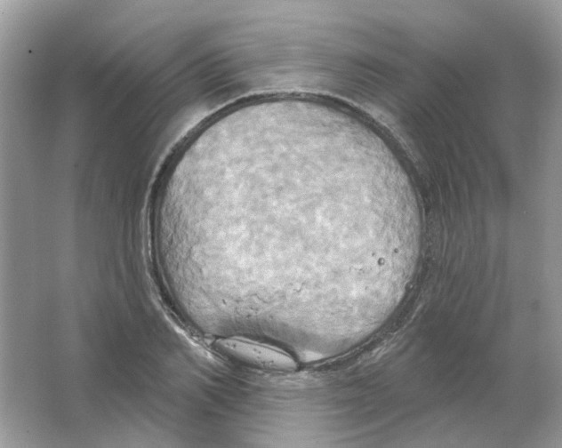 X0000063510982200602172141