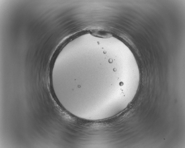 X0000063510984200602172141