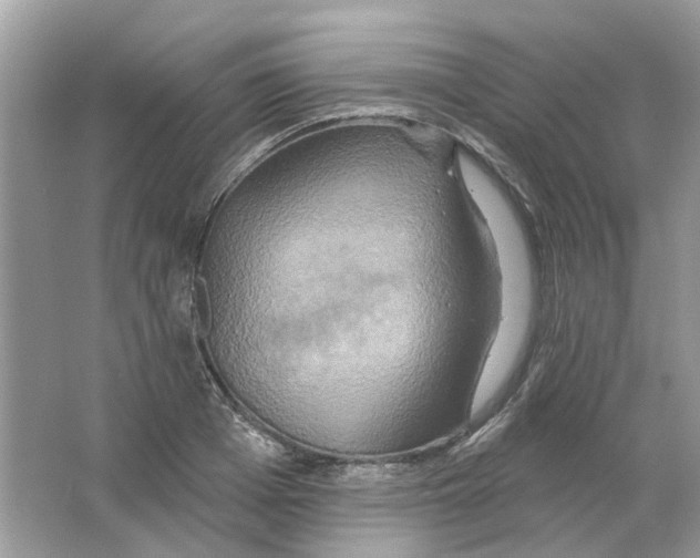 X0000063510985200602172141