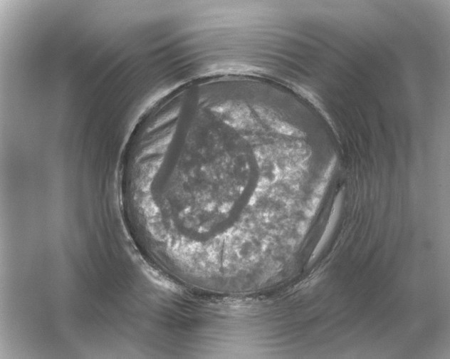 X0000063510987200602172141