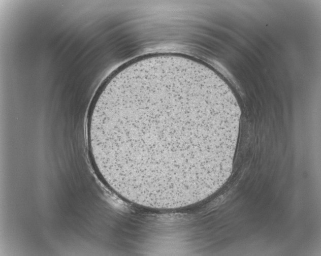 X0000063510988200602172141