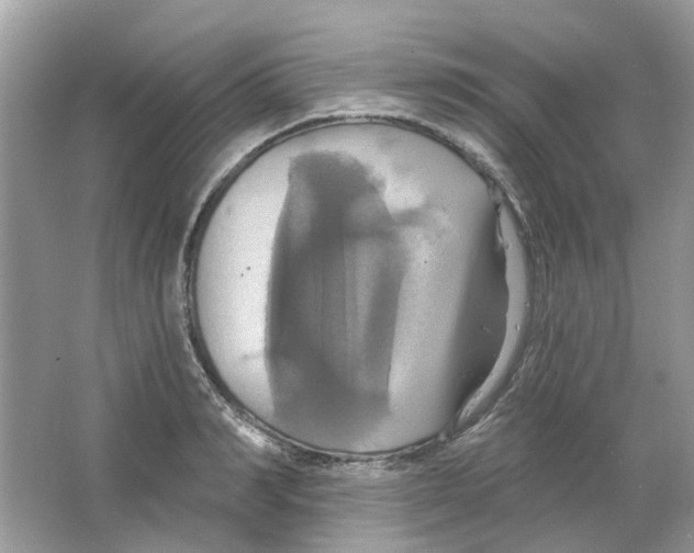 X0000063510990200602172141