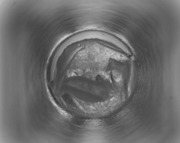 X0000063510991200602172141