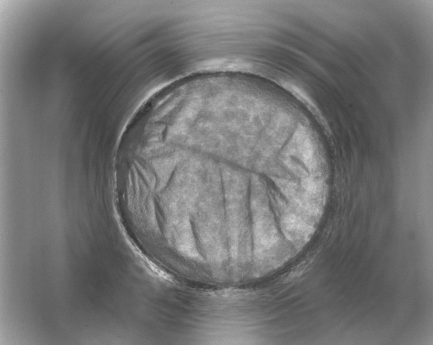 X0000063510992200602172141