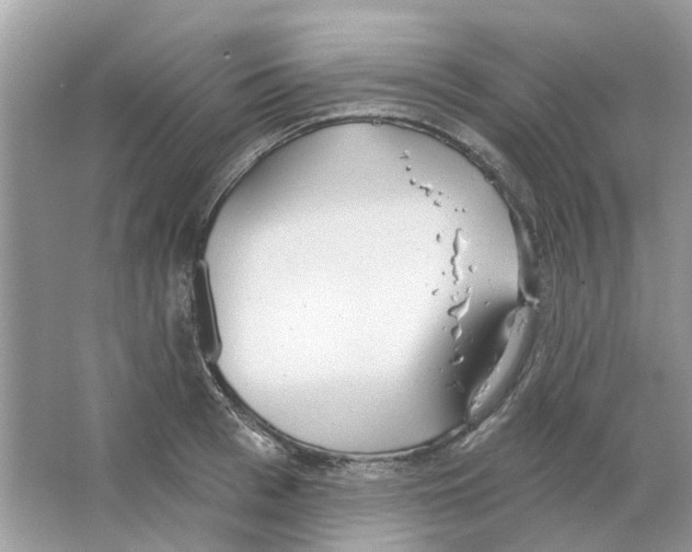 X0000063510993200602172141