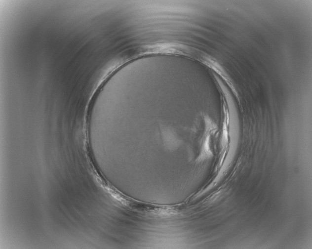 X0000063510994200602172141