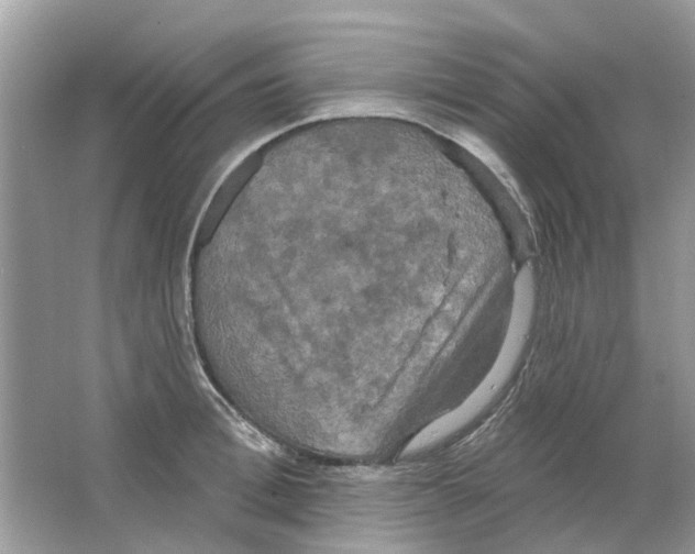 X0000063510996200602172141